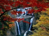 pic for red maple and waterfall 1920x1408